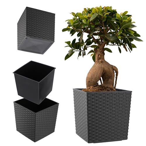 Vaso KADAX Grafite (Plástico - 25.7 x 25.7 x 25.7 cm) KADAX - Móveis de exterior - 25.7 x 25.7 x 25.7 cm, plástico, resistente à decaimento, 25 litros