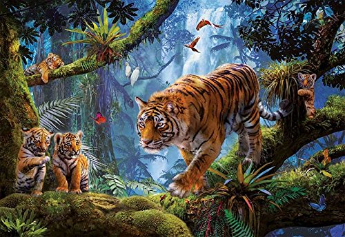 Puzzle 2D JUMBO Tigres en el árbol (Idade Mínima: 12 Anos - 1000 Peças) EDUCA - Quebra-cabeças de encaixar - 1000 peças, tigres, árvores, idade mínima 12 anos