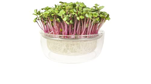 Germinador Automático GAYA 4.5 Litros (Verde) Bueno Bonito Biológico - Vasos e canteiros - germinador, automático, gaya, 4.5 litros, verde