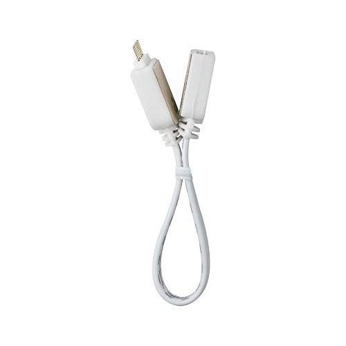Cabo de Alimentação PAULMANN (10 m - Branco) Paulmann - Terminais e conectores de fio - 10 m, 1000 W, branco