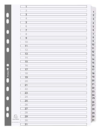 Exacompta MWD1-31Z separador e organizador de documentos EXACOMPTA - Fichas de índice - branco, cinzento, papel branco, 160 g/m²