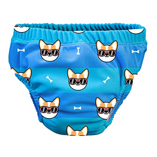 Fralda PSS Cool Dog (Tam: M) (Recondicionado Como Novo) Italian World - Fraldas - recon, paio, m