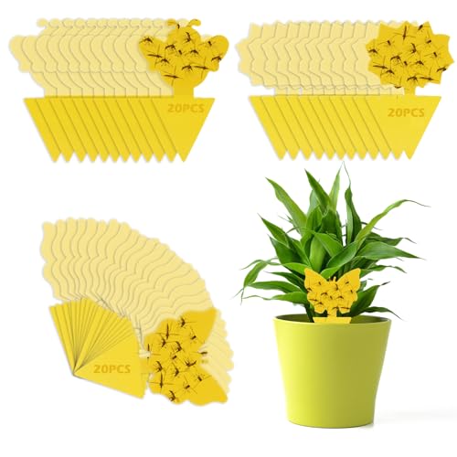 Fitas Adesivas para Insetos 60 Unidades Amarelo VFANDV - Armadilhas de controle de pragas - insetos, 60 unidades, amarelo