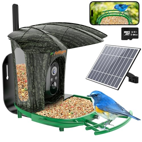 Comedouro para pássaros Lollyes com câmara exterior e reconhecimento de inteligência artificial lollyes - Alimentadores de pássaros - câmara exterior, inteligência artificial