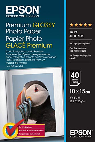 Papel Fotográfico EPSON Premium Glossy Photo Paper (10x15cm) Epson - Papel de impressora e copiadora - papel fotográfico, epson, premium glossy, 10x15cm