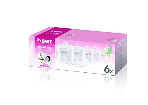 Filtro para garrafas de água BWT 814336 | Branco (Acessórios de cozinha) BWT - Cartuchos de filtro de água - jarra de água, branco, 2.7L