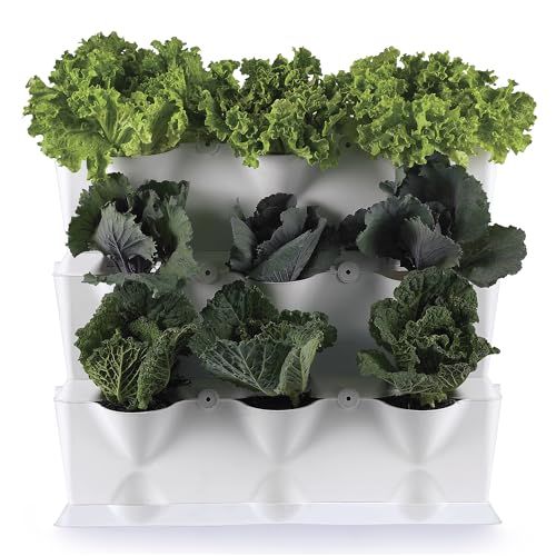 Vaso MINIGARDEN 1 para Plantas Verticals com Sistema de drenagem minigarden - Vasos e canteiros - plantas verticals, drenagem