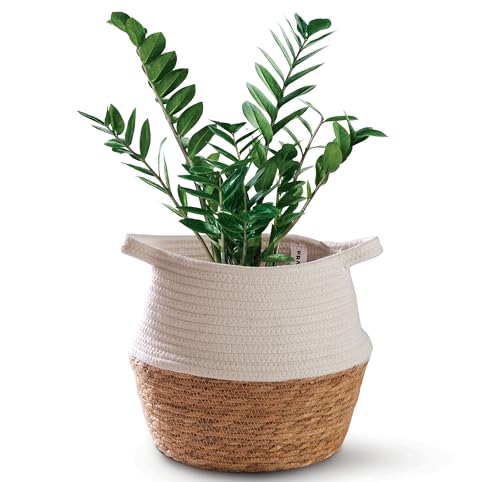 Vaso para plantas de interior JATA Mimbre (Branco) Niboline GmbH - Vasos e canteiros - bambu, elegante, 38x33x27 cm