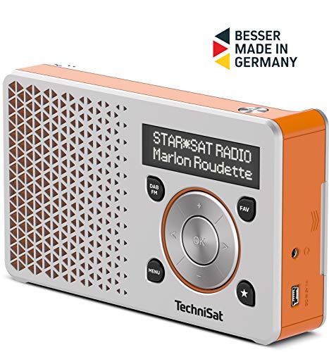 Rádio TECHNISAT Digitradio 1 (Prateado - Digital - AM/FM/DAB/UKW - Bateria) TechniSat - Radios - digital, dab+, oled, usb, bateria recarregável
