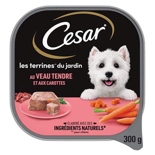 Ração para Cão CESAR (20 Un) (Saco - 300 g) CESAR - Ração para cães - completa, 300 g, adultos, equilibrada