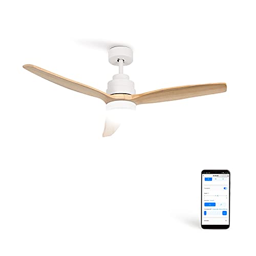 Ventoinha de Teto CREATE IKOHS Windcalm DC Styland Nickel CREATE - Ventiladores de teto - ventoinha, teto, nikel