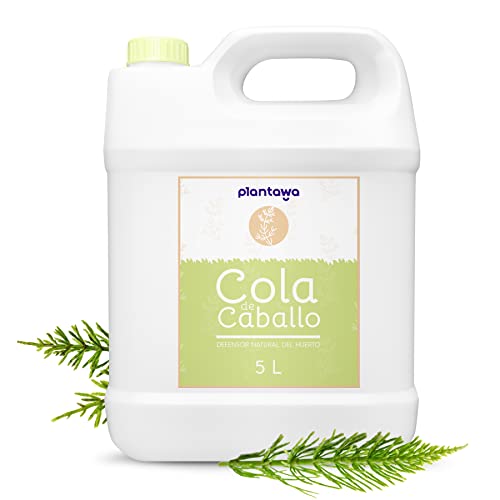 Plantawa Collage de Cavalo 5 L (Jardim) Plantawa - Pesticidas - jardim, plantador de plástico, capacidade 5 litros, dimensões 26x15x20 cm