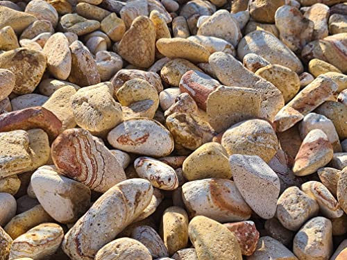 Pedra Decorativa para Jardin TODOSTONES 20-40 Mm (10Kg) Todostones - Móveis de exterior - decorativa, jardim, 20-40 mm