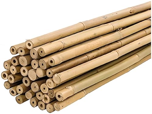 Plantadores de bambu 150 cm 25 unidades Ø 12-14 mm PLANTAWA Plantawa - Gaiolas e suportes para plantas - bambu, 150 cm, 25 unidades, Ø 12-14 mm