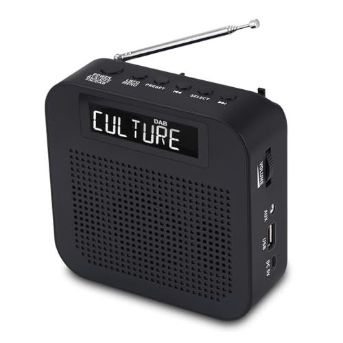 Rádio BINGXUE DAB-3 (Preto - Digital - AM/FM - Pilhas) Ruihua - Radios - dab+, bluetooth, altifalantes, usb