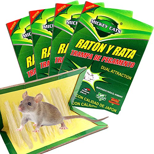 Pangue - 4 Unidades de Armadilha Adesiva para Ratos ZOORE - Armadilhas de controle de pragas - armadilha adesiva, resistente à temperatura, fácil de utilizar, 4 unidades