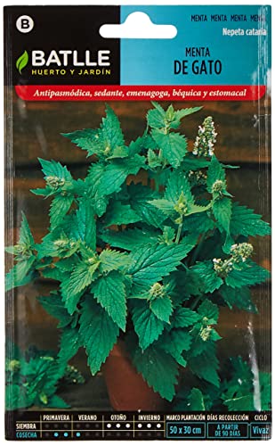 Sementes BATLLE Menta de Gato (Nepeta Catania) BATLLE - Sementes - sementeira, outono, inverno, antipasmódica, sedativa