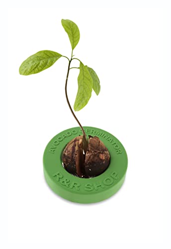R & R Shop Rrshop-Plastico Reciclado Verde R&R SHOP - Kits de cultivo de plantas e ervas - reciclado, verde