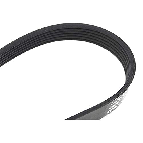 Correia de Motosport CONTITECH 6PK1453 (Multicor) CONTITECH - Peças do motor do veículo automóvel - multicor, preto, borracha, 1453 mm