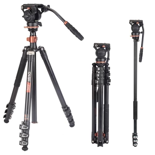 Kit Tripé de Vídeo CAYER AF2451 (Cabeça Fluida - Altura Máx: 167 cm) Cayer - Tripés e monopés - 167 cm, 6 kg, dobrável, cabo incluído