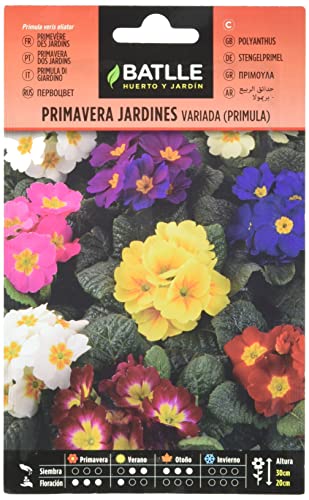 Sementes BATLLE Primavera Jardines Prímula (1 kg) Semillas Batlle - Sementes - natural, 100% germinável, resistente à seca, 1 kg