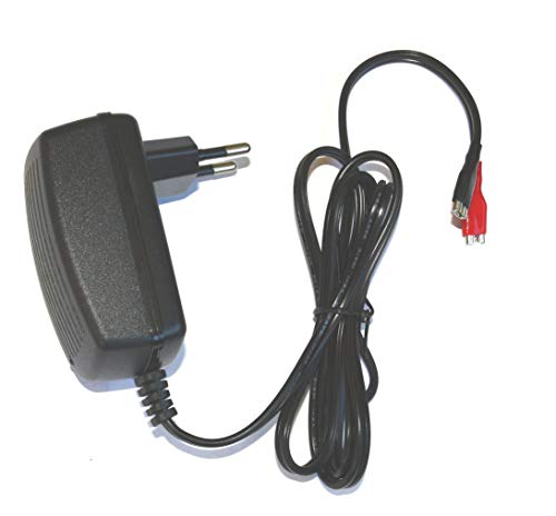Carregador de Bateria DSK 6877 BC-12500 (12 V) DSK - Baterias - 12 v, carga de bateria
