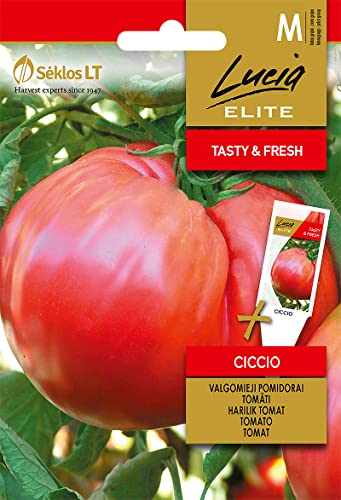 Sementes LUCIA ELITE Tomate Ciccia (2 g) UAB agrofirma SEKLOS - Sementes - tomate, sementes, 2G
