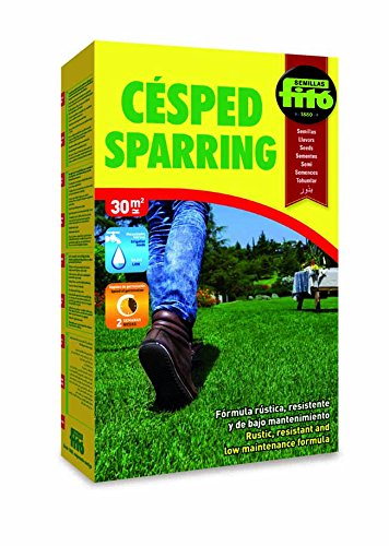 Sementes de Grama para Esporão Fitó 155 155 - Céspedo Sparring SEMILLAS FITÓ - Sementes - grama, sporão, fito