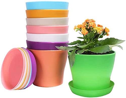 Conjunto de 8 Vasos KAHEIGN (Plástico - Multicor) KAHEIGN - Vasos e canteiros - plástico, multicor, 8 vasos