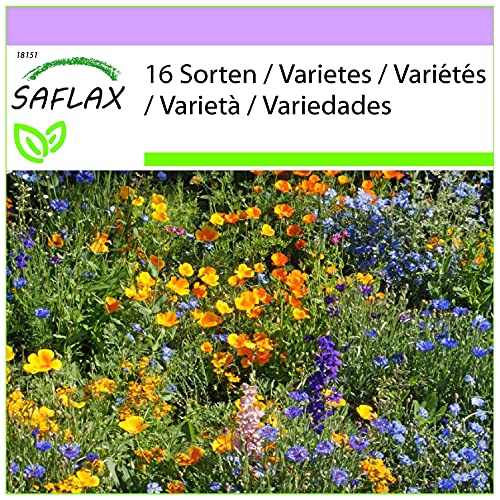 Sementes de flores silvestres 16 espécies 1000 sementes SAFLAX - Lâmpadas de plantas e flores - 16 espécies, 1000 sementes, flores silvestres