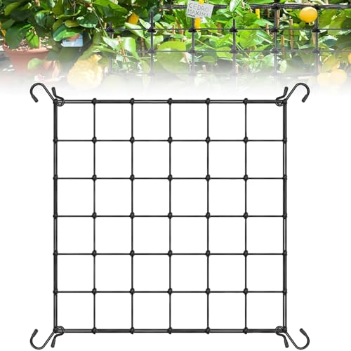 Coffe Life Plus 40-60-90-120 Cm Red de Cultivo ZeroOneHundred - Gaiolas e suportes para plantas - polietileno, borracha, 40-60-90-120 cm, elástico