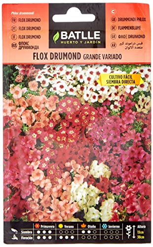 Sementes BATLLE FLOX Drummond Grande (1.5 kg) Semillas Batlle - Sementes - semelhes, 15 kg, drummond grande