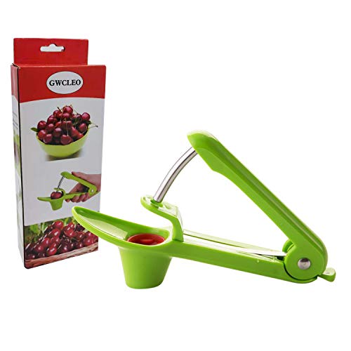 Desidratador de Frutas e Vegetais GWCLEO Verde GWCLEO - Descascadores e descarochadores de alimentos - desidratador, frutas, verde