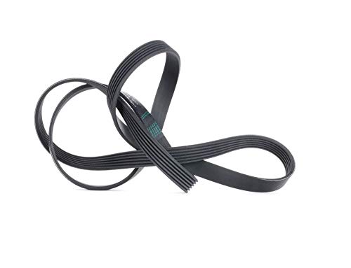 Correia de Acessórios para Motoserras CONTINENTAL 6PK1710 CONTITECH - Variadores de frequência e velocidade ajustável - 6PK1710, 1710 mm, 15 kg, preto