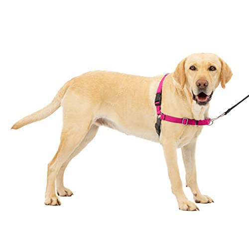 Trela para Cães PETSAFE (Rosa - Algodão - 70 g) Croci - Coleiras e arnês para animais de estimação - algodão, nylon, garantia 2 anos, cães