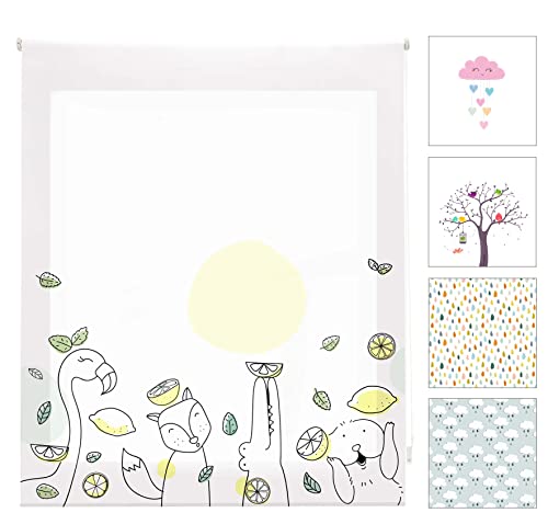Estor BLINDECOR Digital Infantil com Impressão Zoolime Blindecor - Persianas e cortinas - digital, infantil, impressão