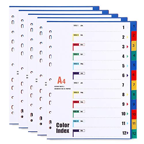 Separador de Arquivo DURONIC 12 Posições (A4) LELADY JEWELRY - Separadores de índice - 12 posições, a4, polipropileno, organizar