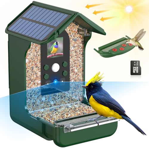 Comedouro para Passarinho COZION com Energia Solar Cozion - Alimentadores de pássaros - solar, bateria, impermeável, gravador
