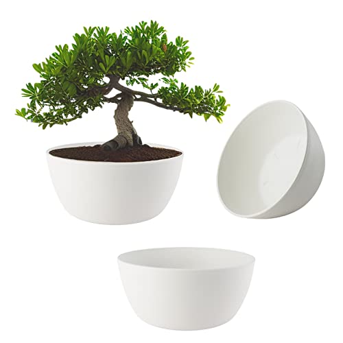 Vaso ECOMACETAS Flowerpot Store 3,20cm Branco ECOMACETAS FLOWERPOT STORE - Vasos e canteiros - branco, plástico, 3,20 cm