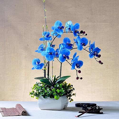 Sementes de Orquídea Ornamental 100 Unidades lamphle - Flores artificiais - orquídea, ornamental, 100 unidades