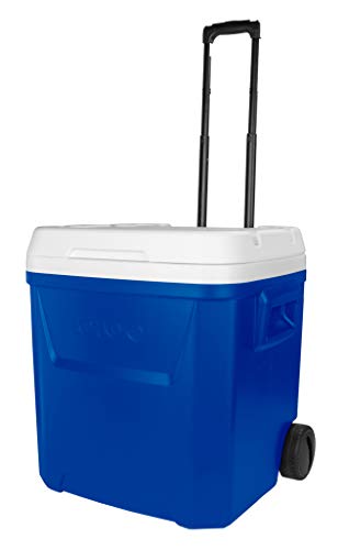 Arca de Jardim Igloo Laguna 60 | Azul (Armazenamento e limpeza) IGLOO - Campismo & caminhada - armazenamento, limpeza, 5,7 L, azul