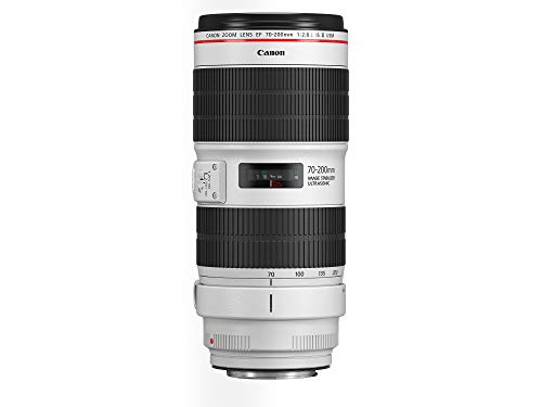 Objetiva CANON EF 70-200mm f/2.8L IS III USM Canon - Lentes de câmera - telephoto, f/2.8, is iii, usm