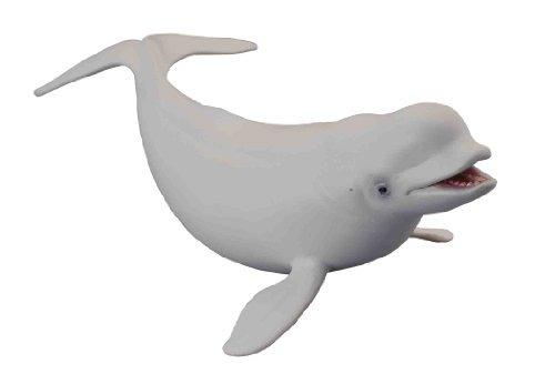 Figuras de Brincar SPIN MASTER Baleia (Idade Mínima Recomendada: 3 anos) Collecta - Bonecos de ação e brinquedo - baleia, animais marinhos, 3 anos
