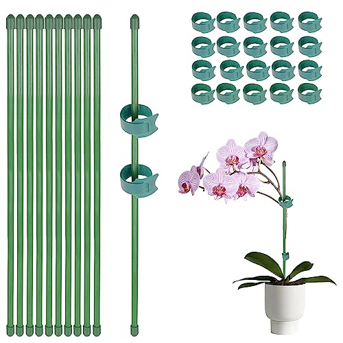 Suporte para Plantas GEBETTER (Verde - 30 cm) GEBETTER - Gaiolas e suportes para plantas - verde, 30 cm