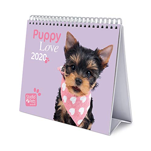 Calendário ERIK EDITORES de Mesa Deluxe 2020 Studio Pets Cão ERIK - Calendários, organizadores e planejadores - calendário, preto, português, adulto
