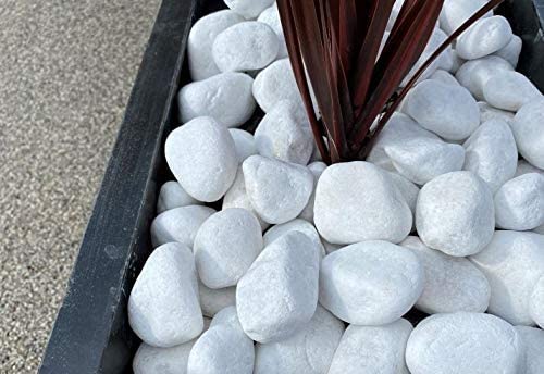 Areia para Pádião TODOSTONES Canto Rodado Saco Branco Especial (99%) (20 kg) Todostones - Lenha e combustível - areia, pádião, canto rodado, branco, especial