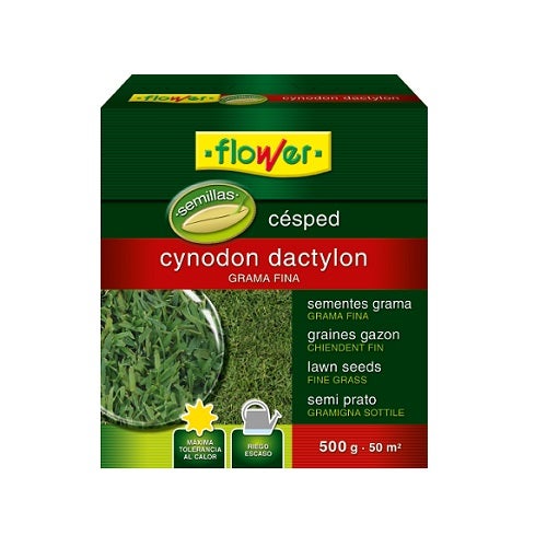 Sementes de Grama Cynodon Dactylon Flower 500 Gr FLOWER - Sementes - grama, cynodon dactylon, flor, 500g