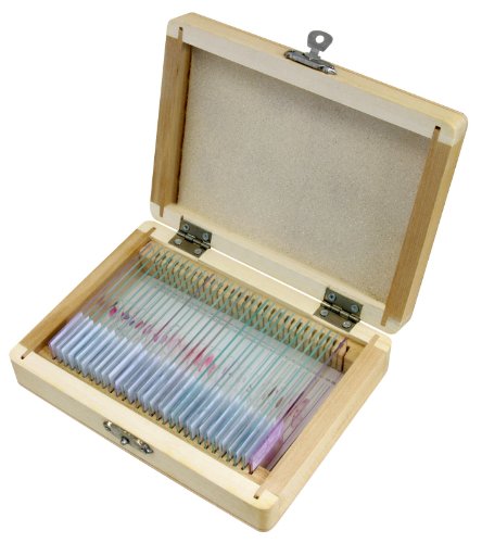 Conjunto de 30 preparações para microscópio BRESSER Bresser - Lâminas de microscópio - conjunto, microscópio, 30 preparações