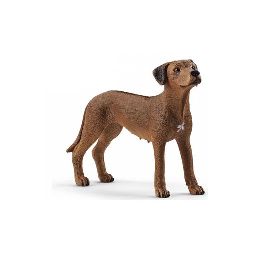 Figura de Brincar SCHLEICH Rhodesian Crested Dog Schleich - Bonecos de ação e brinquedo - figura, brincar, schleich, rhodesian crested dog, 26 cm, detalhes