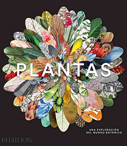 Livro Plantas. Una exploración del mundo botánico de Luis Miguel García Phaidon - Livros - plantas, exploração, mundo botânico